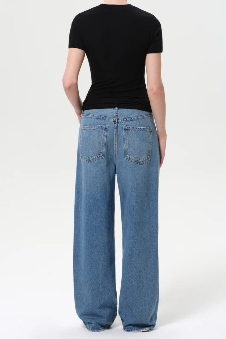 Image of model wearing the Agolde Franka Pleated Baggy Jean back view