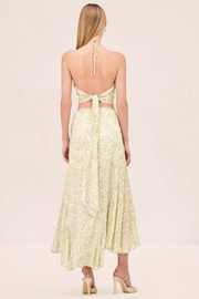 Back image of model wearing Alexis Alenzia skirt and matching top 