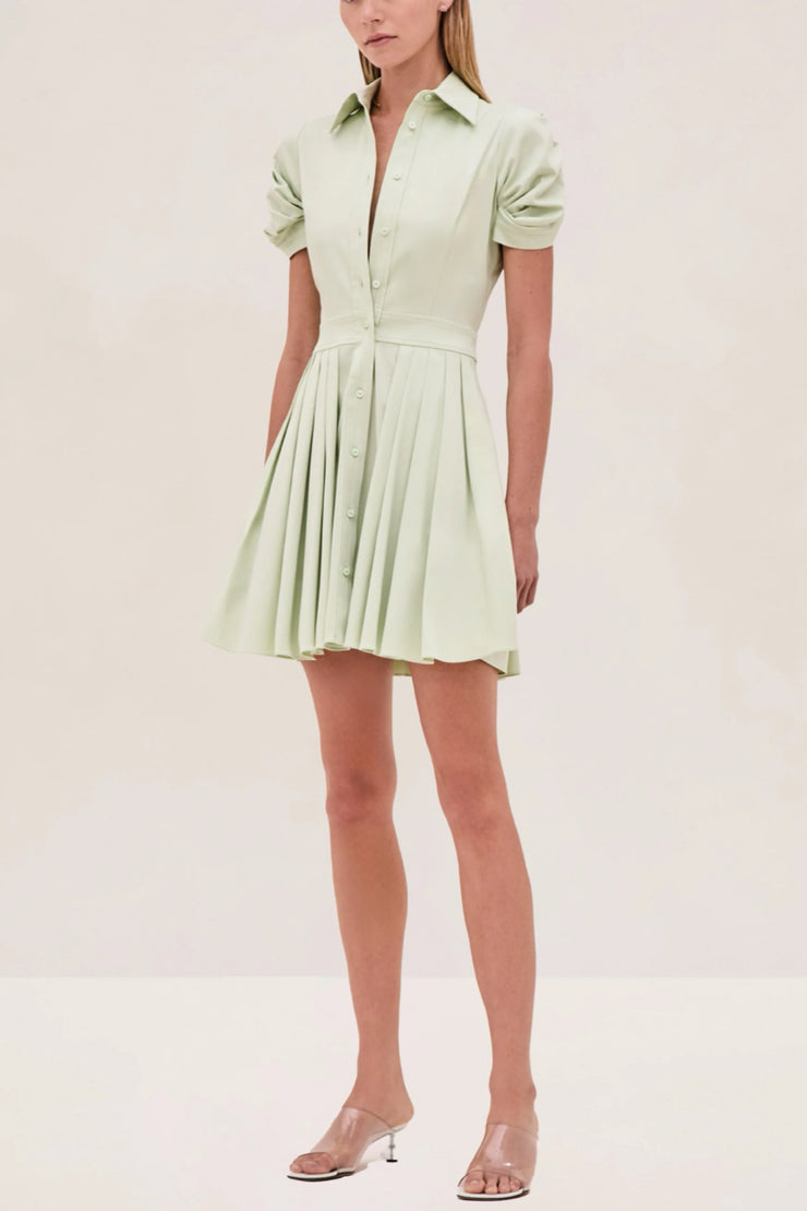Image of model wearing the Alexis April Dress front view