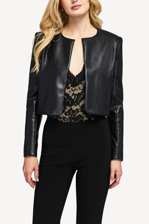 black leather jacket with blacklace bodysuit underneath and black pants