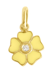 Image of Gigi clozeau flower in mimosa charm