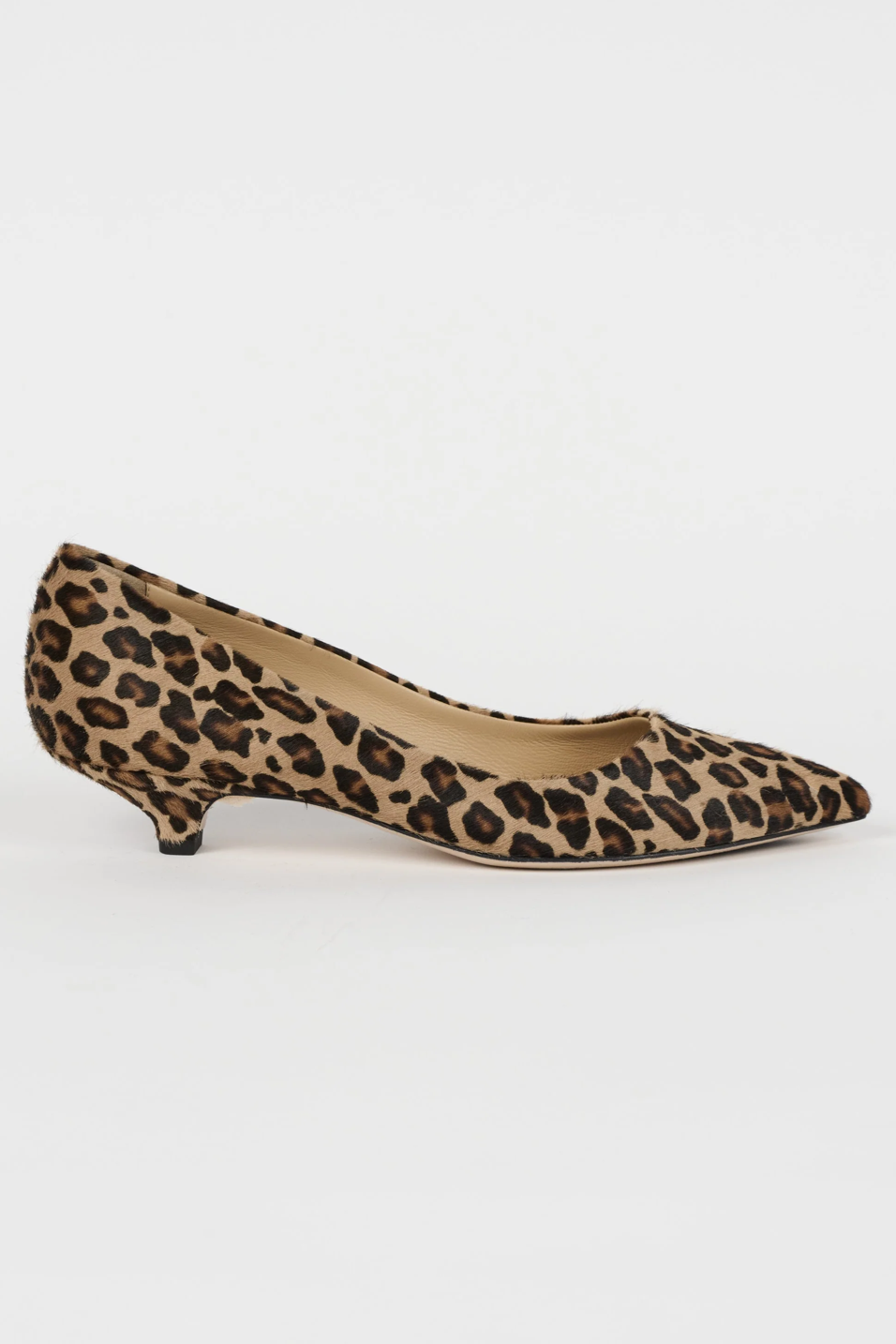 Leopard print shoe on a white background