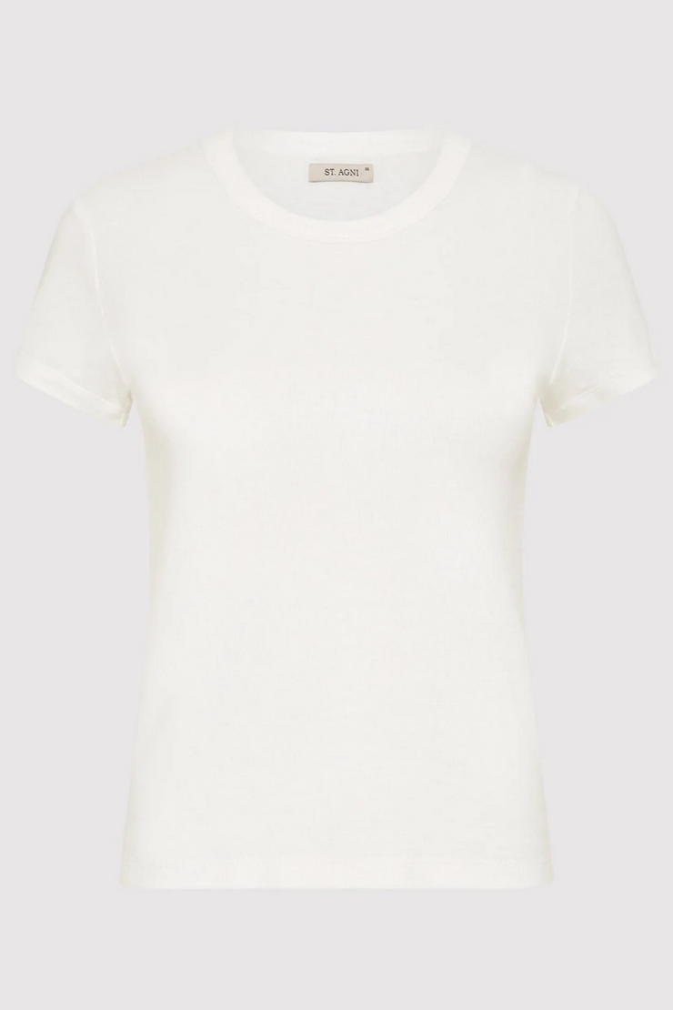 White teel on a light gray background
