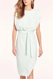 Image of model wearing Amanda Uprichard Isaiah dress in celadon