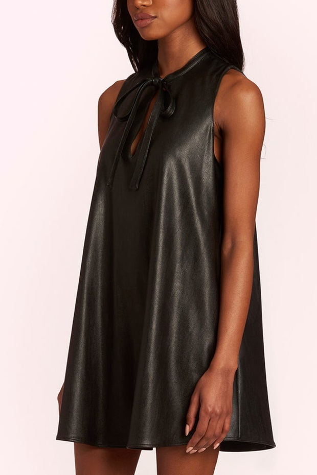 Image of model wearing Amanda Uprichard Louie dress in black